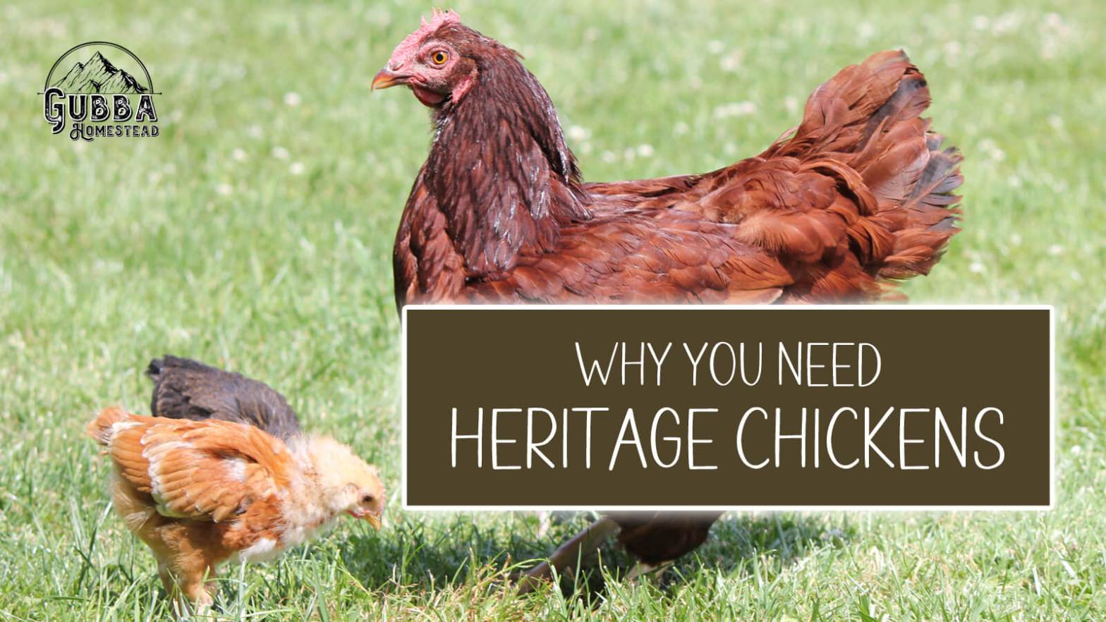 We can’t lose Heritage&nbsp;Breeds