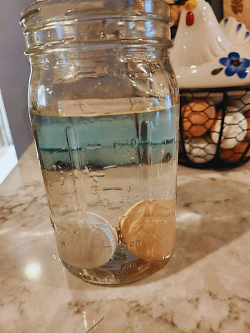 Farm Fresh Eggs float test: Jar full of water with eggs that sunk to the bottom