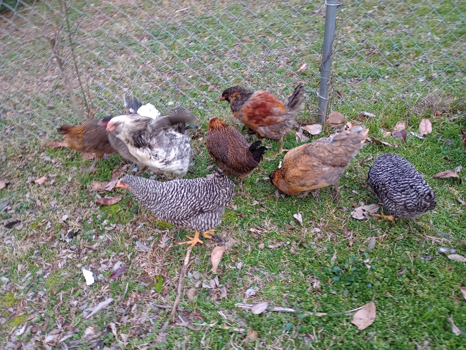 What’s Available (May/ June&nbsp;2024)