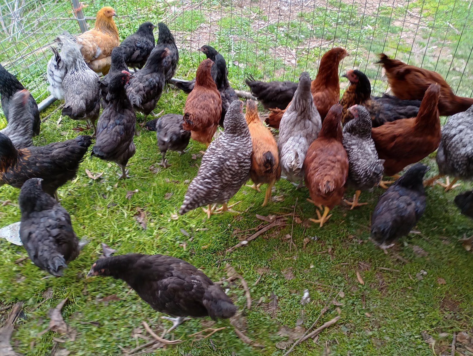 Photo Gallery (2024)