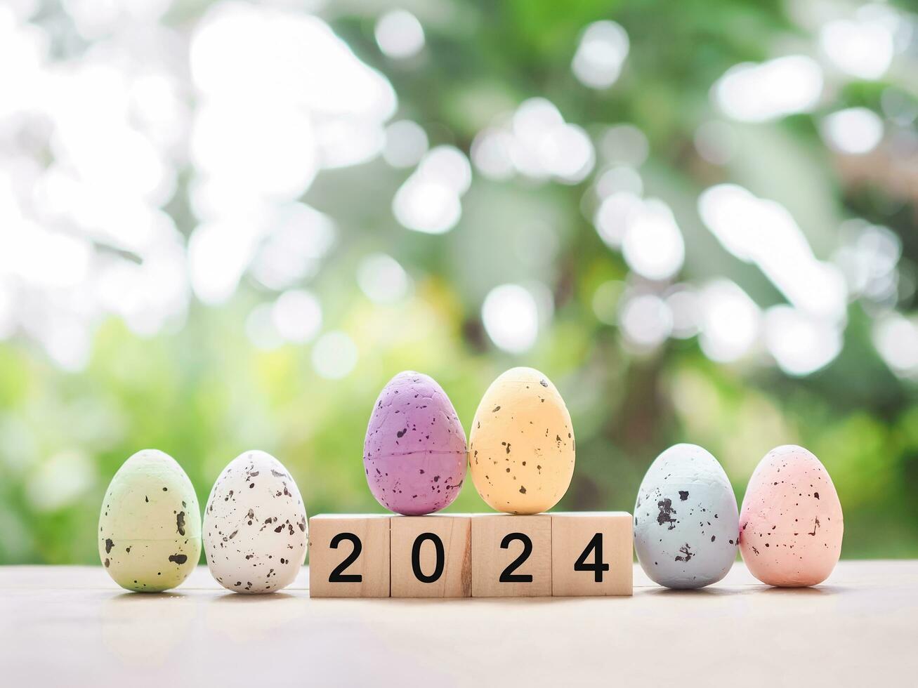 Photo Gallery (2024)