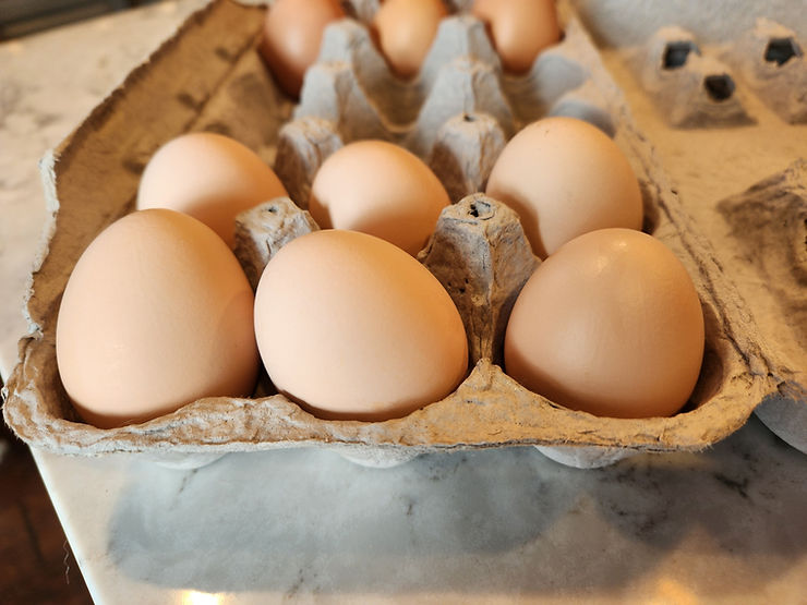 Carton of light brown and pinkish Buff Orpington eggs