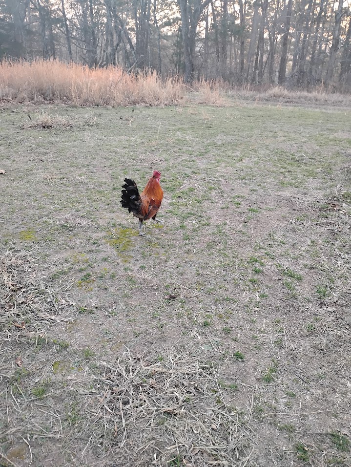 When is a Desirable trait not so&nbsp;Desirable