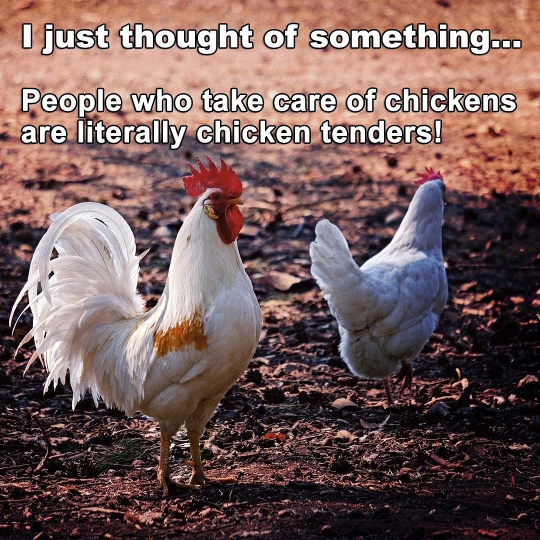 Understanding Bird Flu